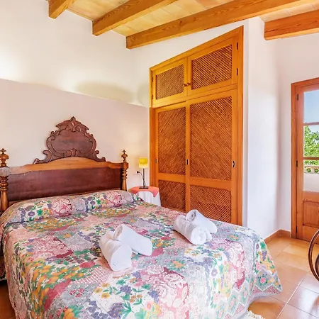 Creus *